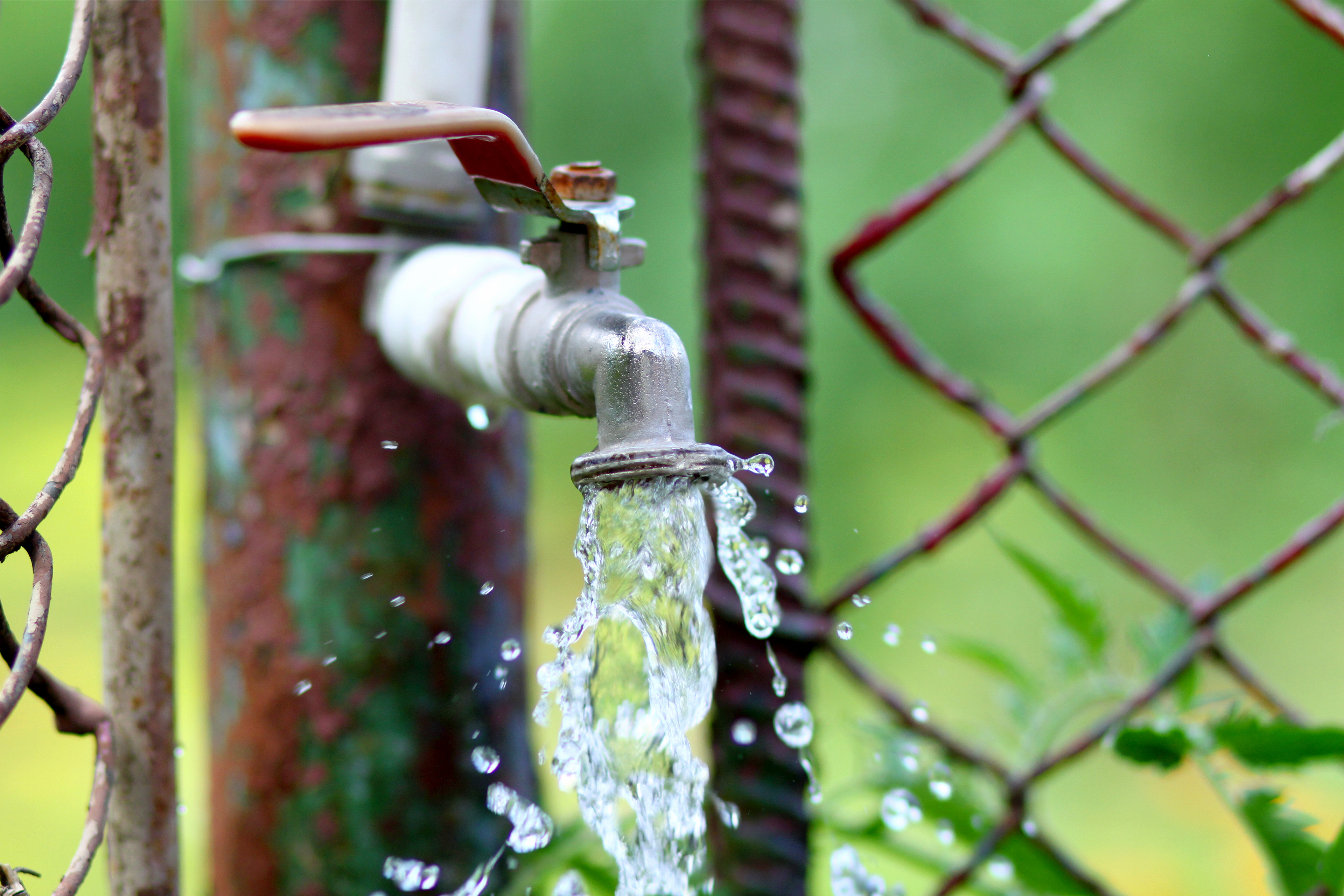 Water & Utilities